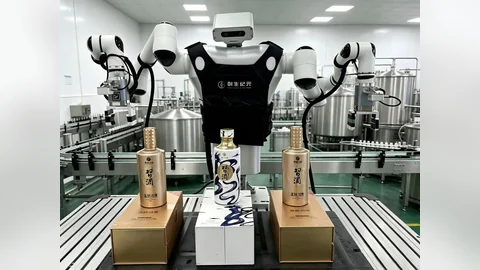 人形包装机器人